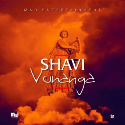 Shavi ft. Dlala Lazz - Bikiri